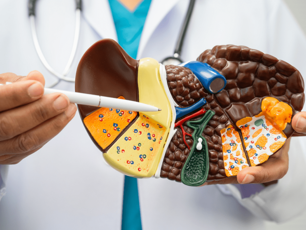 Hepatitai
