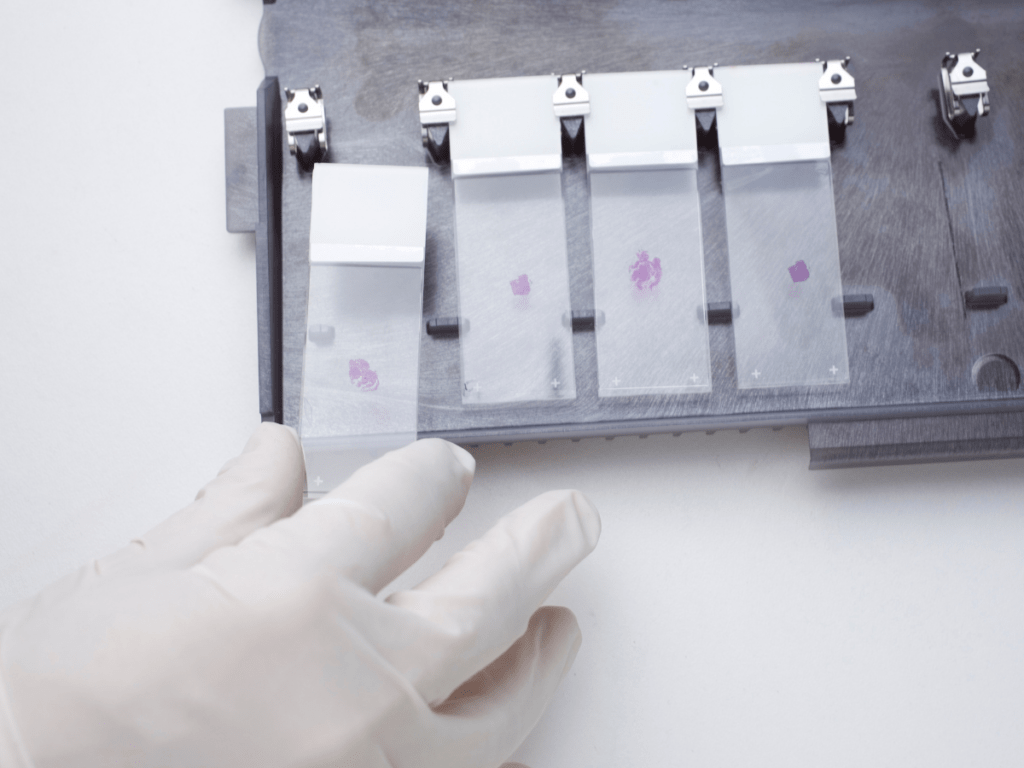 Histologiniai tyrimai